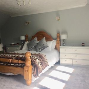 King Room Garden View